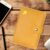 NN28 Broche Amarillo